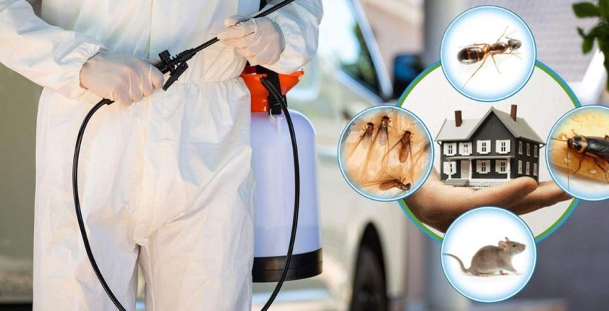 Bozkır Böcek İlaçlama