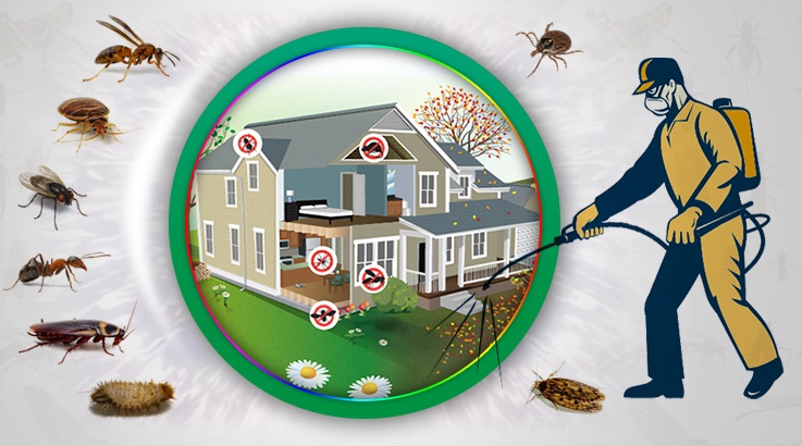 Bozkır Böcek İlaçlama