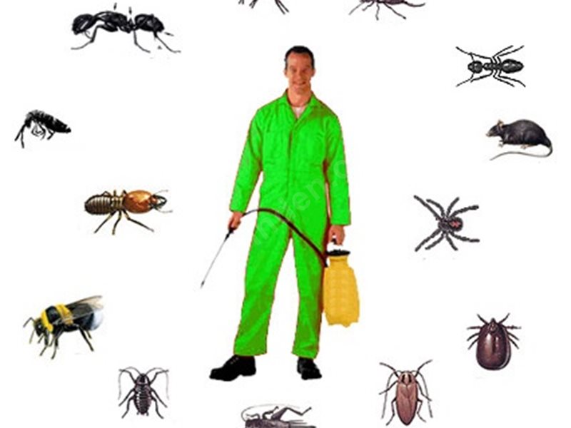 Bozkır Böcek İlaçlama